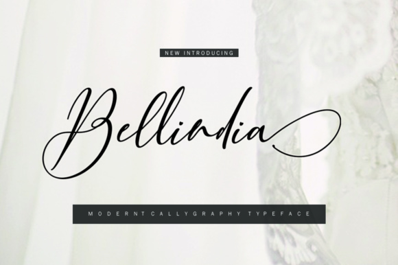 Bellindia Script: A Font That Elevates Your Brand