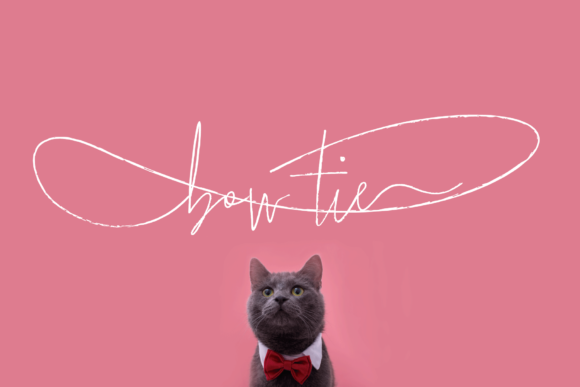 Bow Tie: A Versatile Script Font for Editorial Design