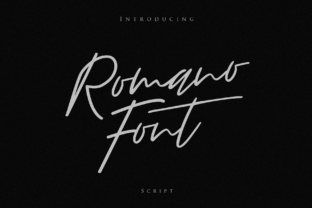 Font That Shapes Your Brand: How Romano Elevates Your Business